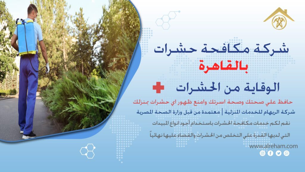 شركة مكافحة حشرات بالقاهرة